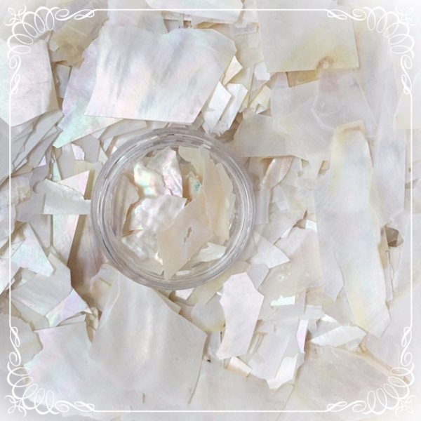 画像2: オーロラ ホワイトシェル【現品限り】 (2)