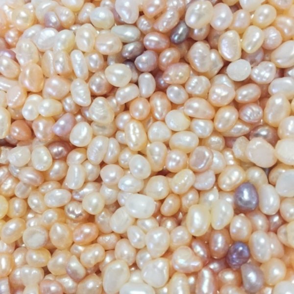 画像4: ナチュラル淡水パール カラーMIX 10点セット (4)