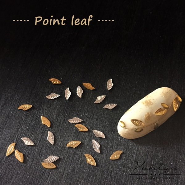 画像3: ポイントリーフ(40点入り) (3)