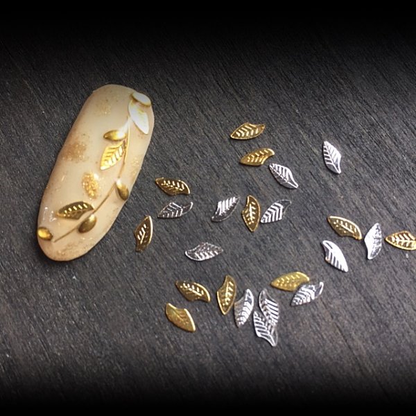 画像2: ポイントリーフ(40点入り) (2)