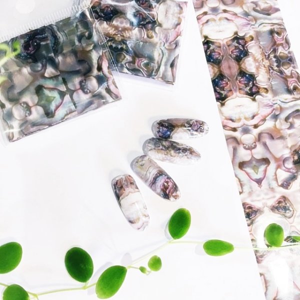 画像7: シェル風ホイル (7)