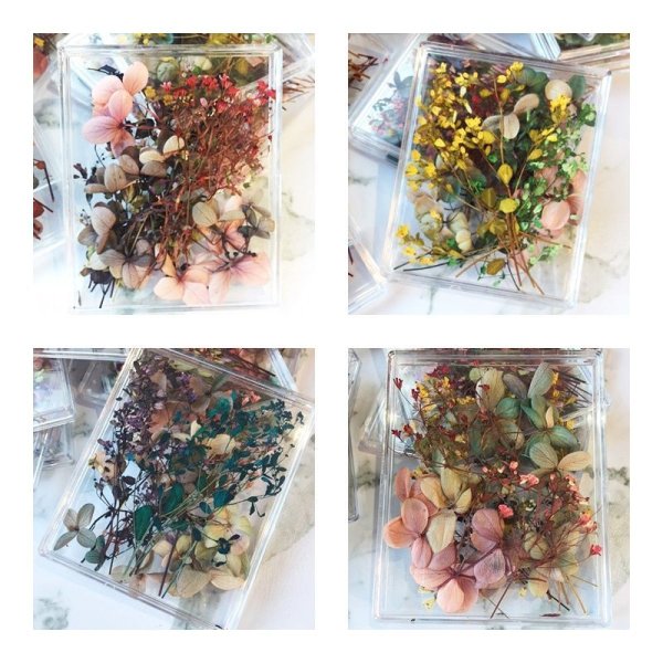 画像6: ドライフラワー&押し花(スクエアケース) (6)