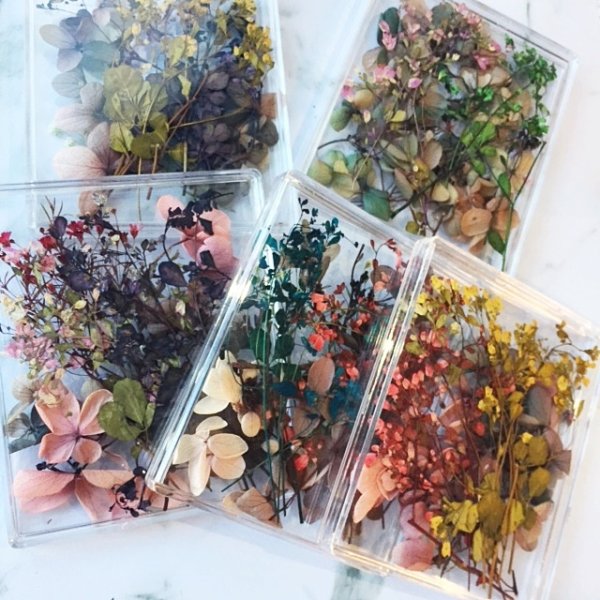 画像5: ドライフラワー&押し花(スクエアケース) (5)