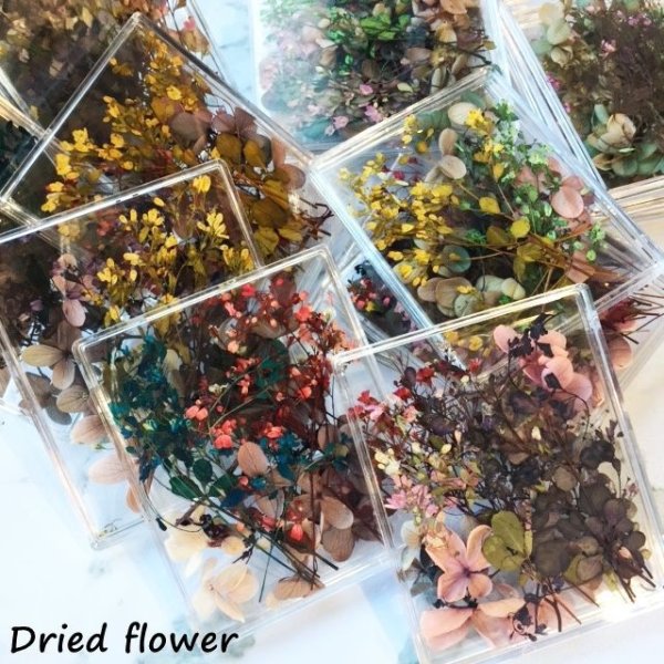 画像2: ドライフラワー&押し花(スクエアケース) (2)
