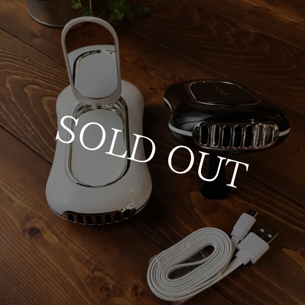 画像2: アイラッシュ　ファン (2)