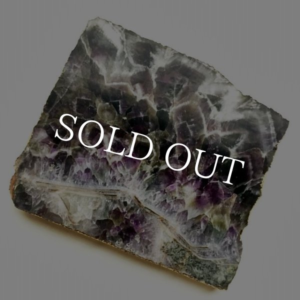 画像7: ジュエリープレート (7)