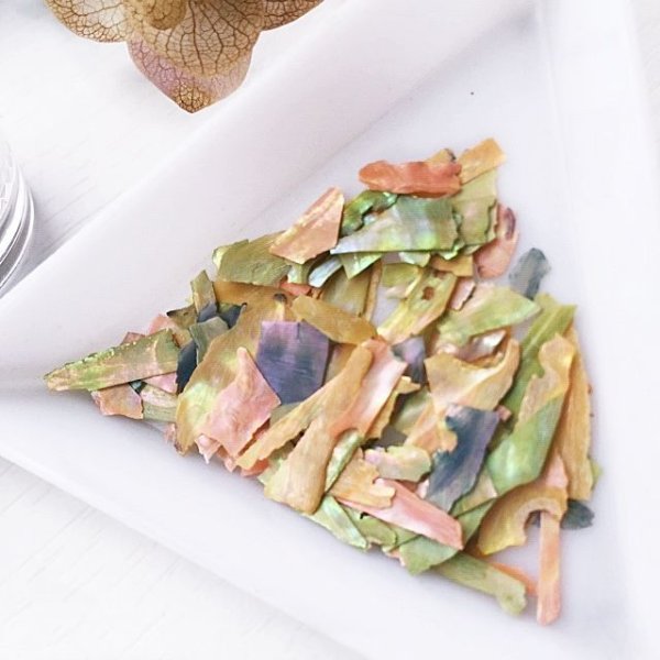 画像3: シェルフレーク ミックス【数量限定】 (3)