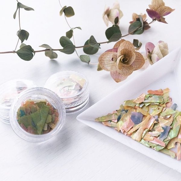 画像5: シェルフレーク ミックス【数量限定】 (5)