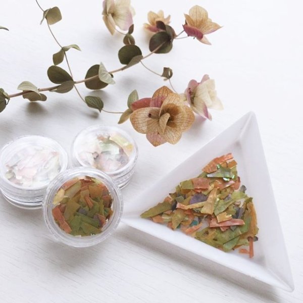 画像2: シェルフレーク ミックス【数量限定】 (2)