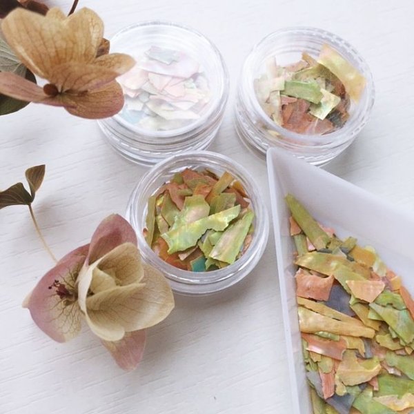 画像4: シェルフレーク ミックス【数量限定】 (4)