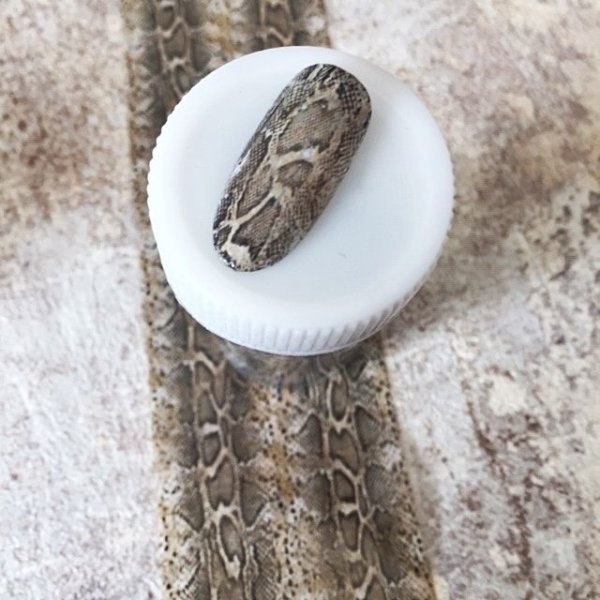 画像9: パイソン転写シート (9)