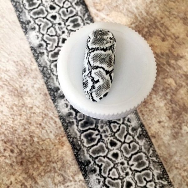 画像10: パイソン転写シート (10)