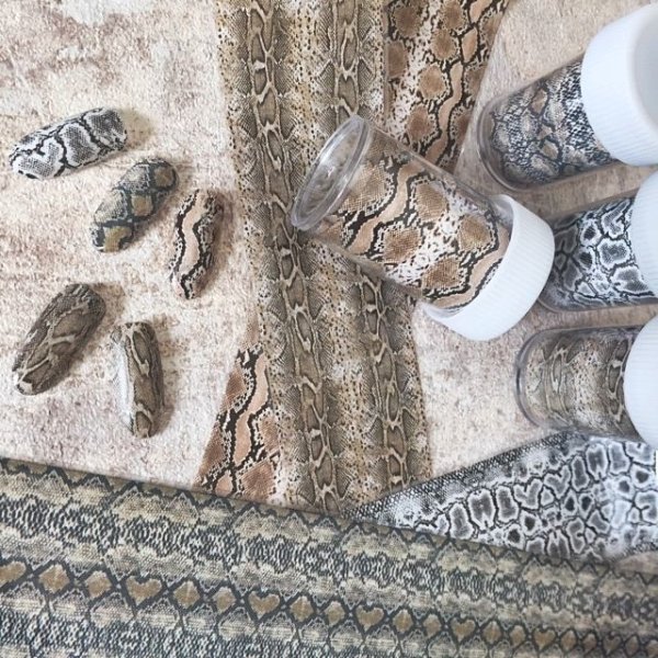 画像6: パイソン転写シート (6)