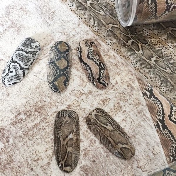 画像8: パイソン転写シート (8)