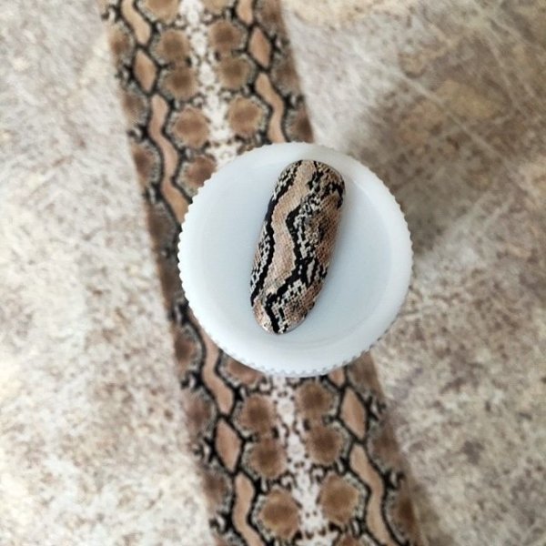 画像12: パイソン転写シート (12)