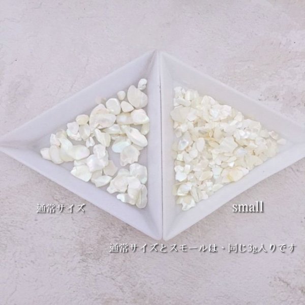 画像8: ハイクオリティージュエリーシェル (8)