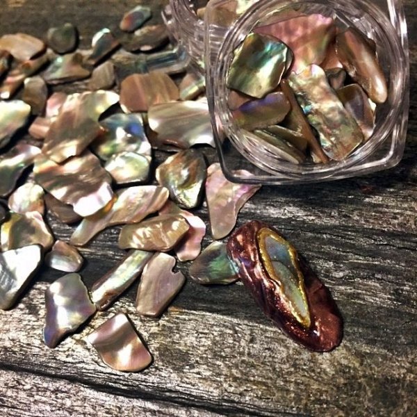 画像10: ハイクオリティー レインボーカラーシェル (10)