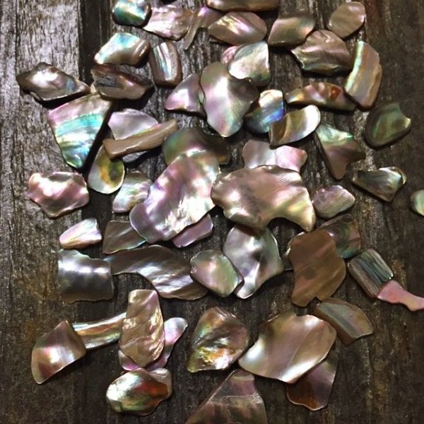 画像7: ハイクオリティー レインボーカラーシェル (7)