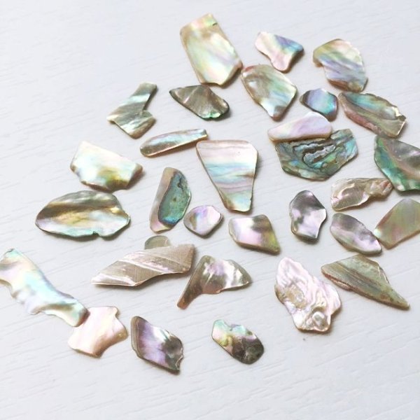 画像11: ハイクオリティー レインボーカラーシェル (11)