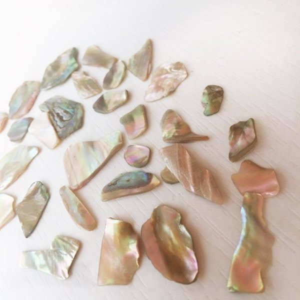 画像14: ハイクオリティー レインボーカラーシェル (14)