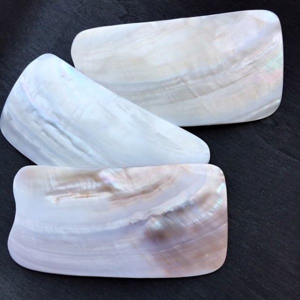 画像6: シェルプレート (6)