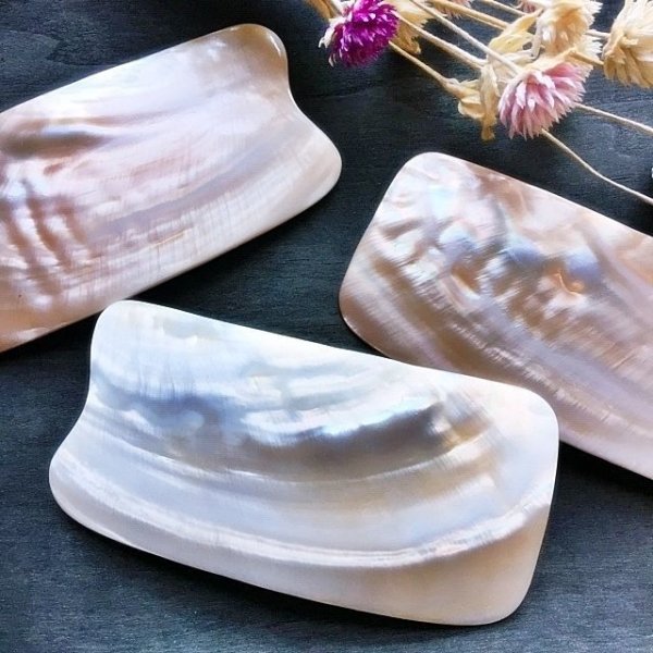 画像4: シェルプレート (4)