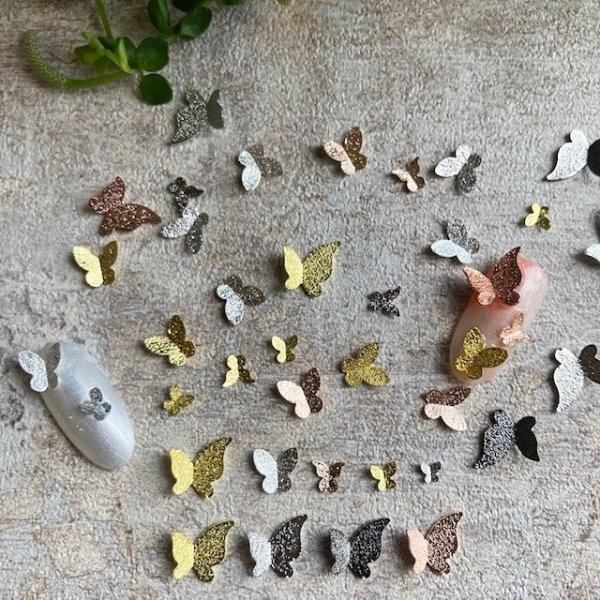 画像11: Mix　バタフライセット (11)