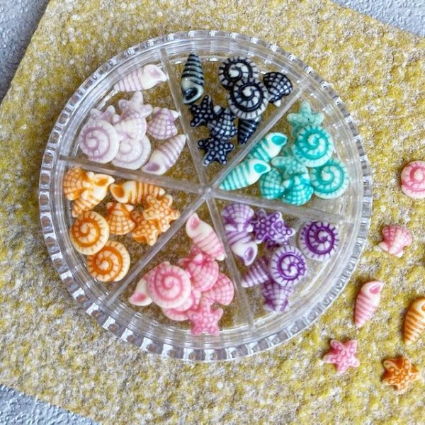 画像2: ポップカラー貝&ヒトデ  (2)