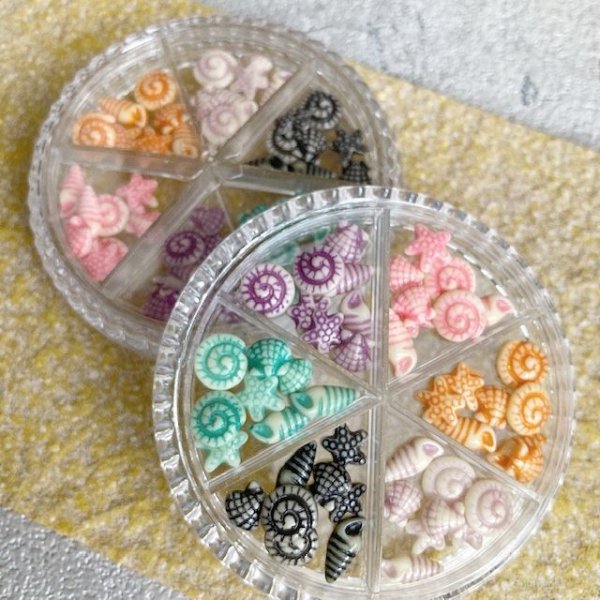 画像7: ポップカラー貝&ヒトデ  (7)