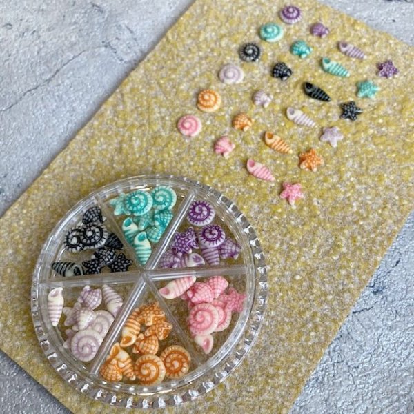 画像9: ポップカラー貝&ヒトデ  (9)