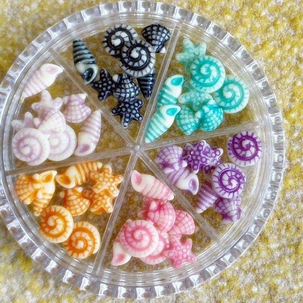 画像5: ポップカラー貝&ヒトデ  (5)