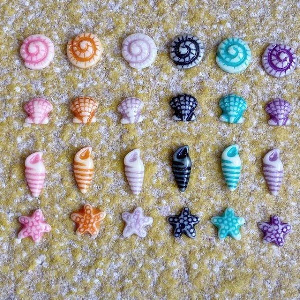 画像3: ポップカラー貝&ヒトデ  (3)