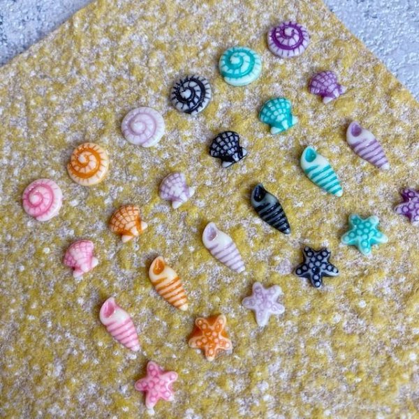 画像8: ポップカラー貝&ヒトデ  (8)