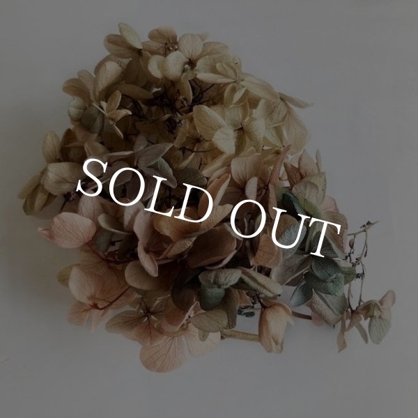 画像11: 紫陽花　プリザーブドフラワー【現品限り】 (11)