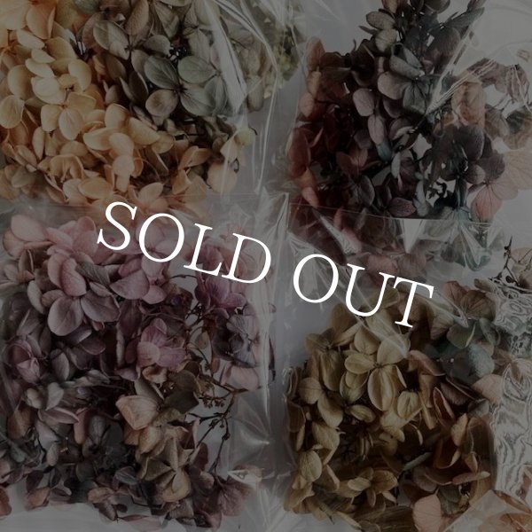 画像5: 紫陽花　プリザーブドフラワー【現品限り】 (5)