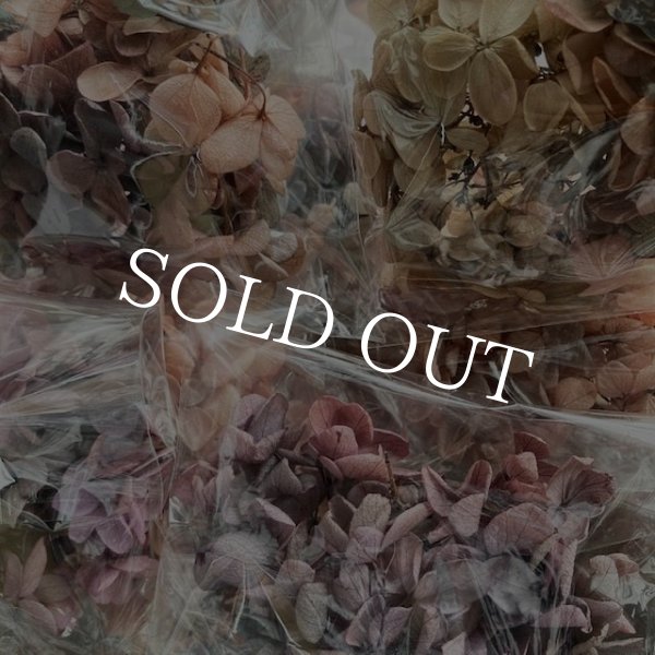 画像6: 紫陽花　プリザーブドフラワー【現品限り】 (6)