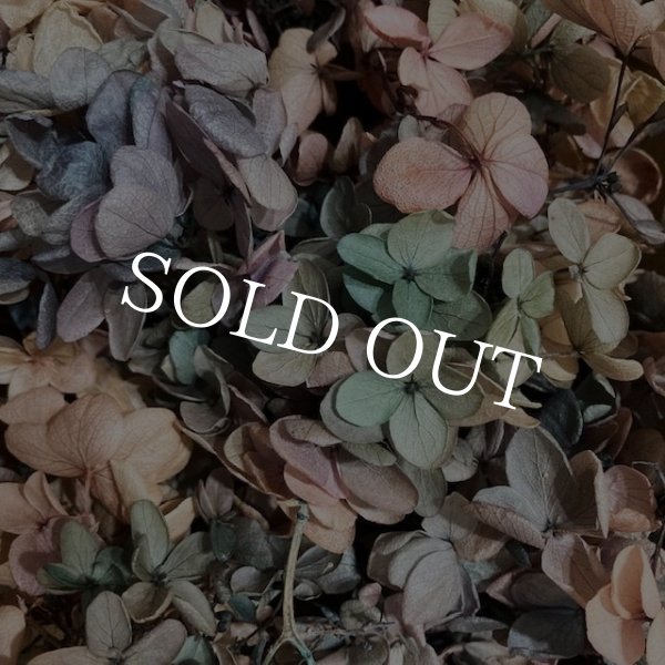 画像4: 紫陽花　プリザーブドフラワー【現品限り】 (4)