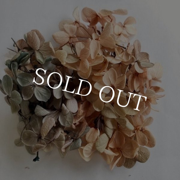 画像13: 紫陽花　プリザーブドフラワー【現品限り】 (13)