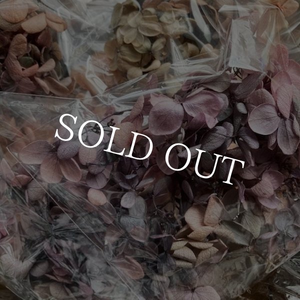 画像7: 紫陽花　プリザーブドフラワー【現品限り】 (7)