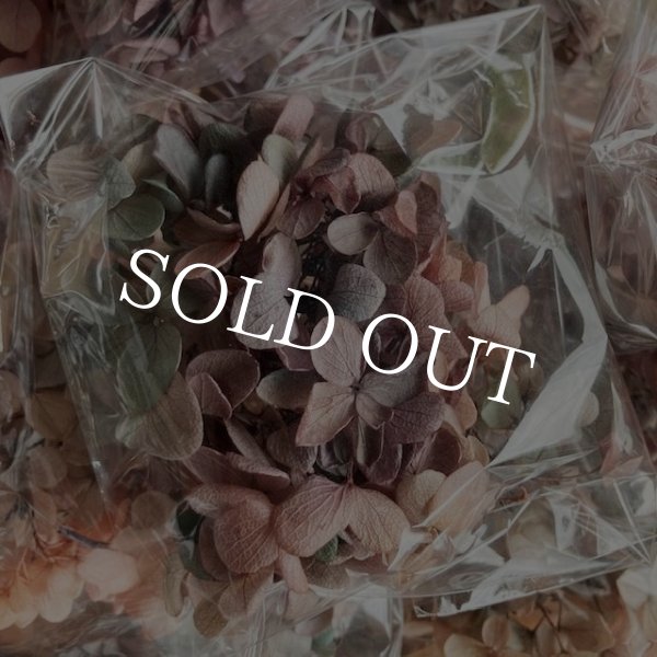 画像9: 紫陽花　プリザーブドフラワー【現品限り】 (9)