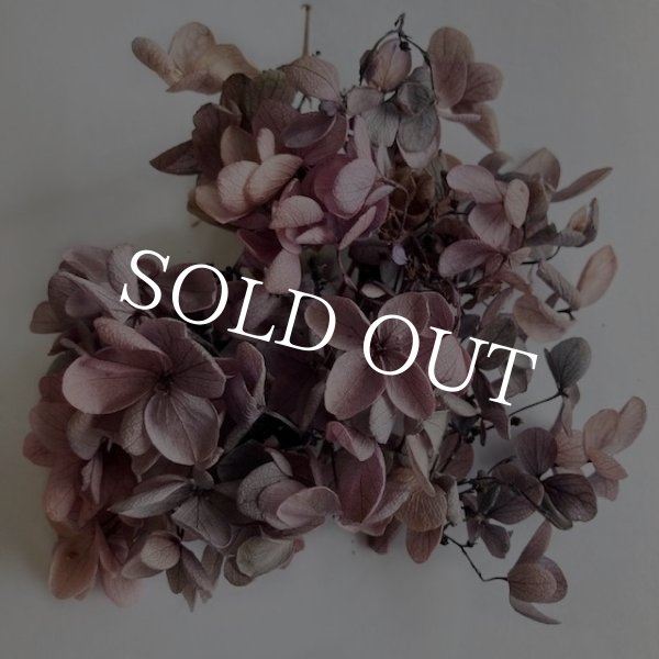 画像12: 紫陽花　プリザーブドフラワー【現品限り】 (12)