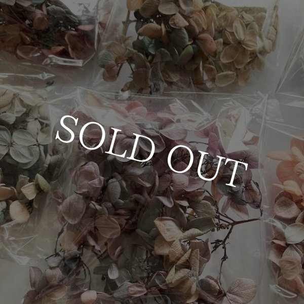 画像8: 紫陽花　プリザーブドフラワー【現品限り】 (8)