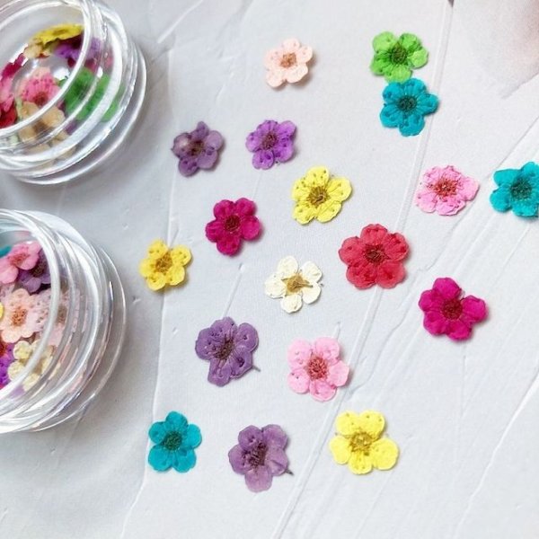 画像3: 押し花ミックス　18枚入 (3)