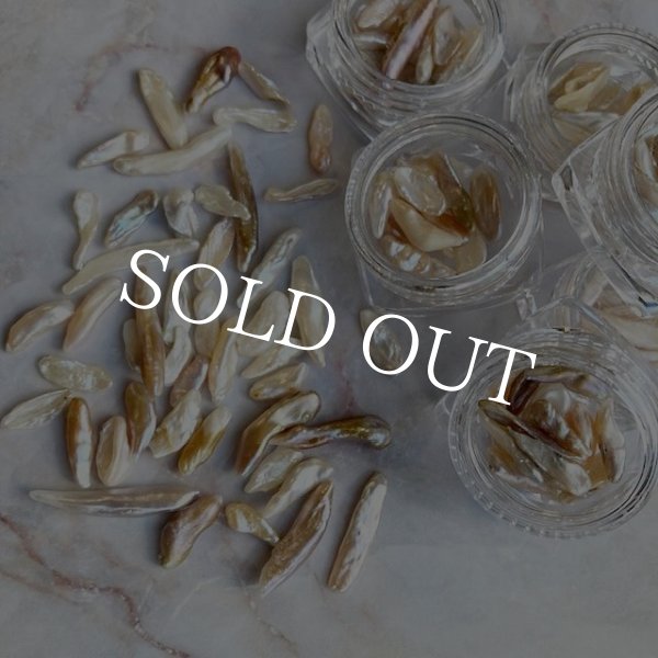 画像4: バロックパール (4)