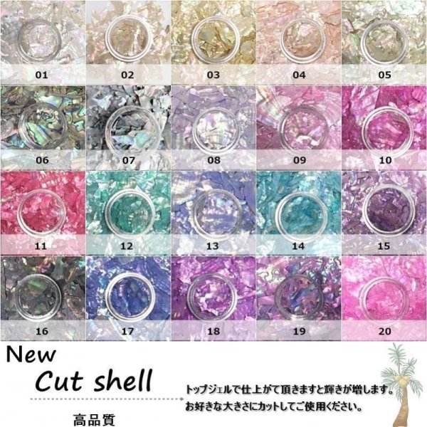 画像6: Newカットシェル (6)