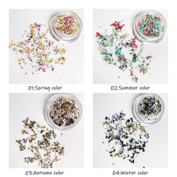 画像2: レースフラワー シーズンカラー (2)