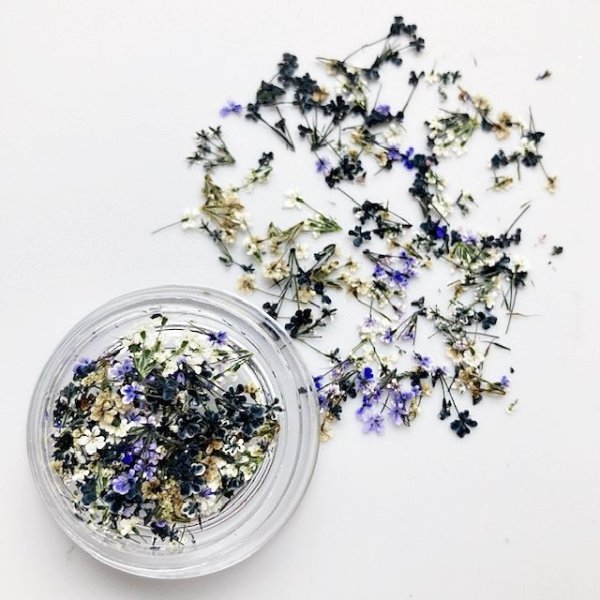 画像9: レースフラワー シーズンカラー (9)