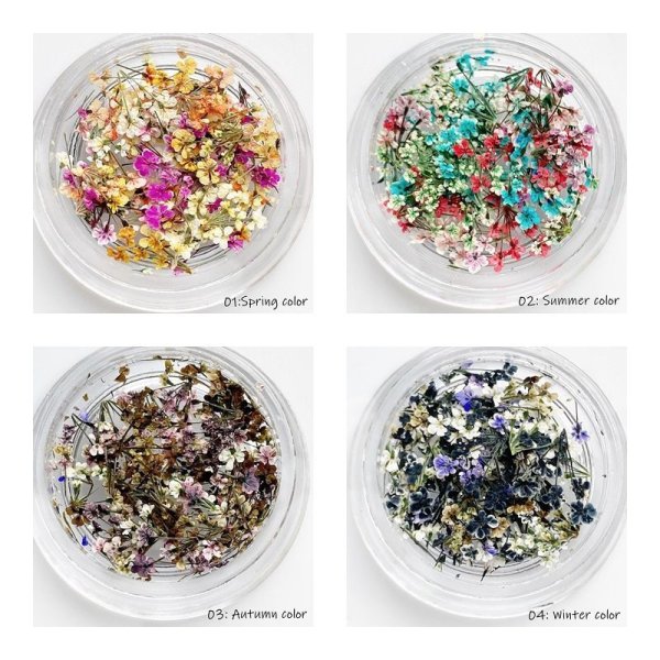 画像3: レースフラワー シーズンカラー (3)