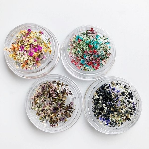 画像5: レースフラワー シーズンカラー (5)