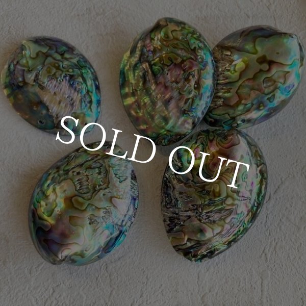 画像5: ナチュラルシェル ディスプレイorアクセサリー (5)